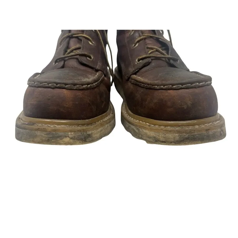 Irish Setter Ashby 6